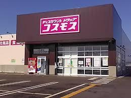 tPJsx̐VzˌĂ̎ӊ