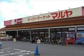 tˎs{1ڂ̐VzˌĂ̎ӊ